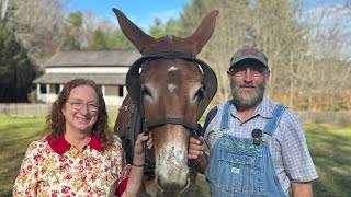 E14 The Mule Keeper amp His Wife A Tale of Marriage Food Work and Business Success in Appalachia [upl. by Florie771]