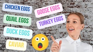 10 Different Types Of Edible Eggs [upl. by Murrah636]