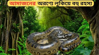 অ্যামাজন রেনফরেস্ট রহস্য  The Amazon Rainforest [upl. by Philly]