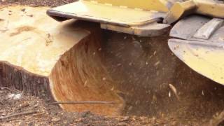 Stump grinding MultiTip Stump Cutting System [upl. by Giuseppe]