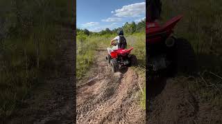 Honda trx250x trails honda trx atv [upl. by Ilaire632]