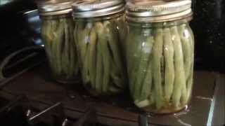 How To Prepare and Can Dilly Beans Spicy Green Beans [upl. by Blakelee]