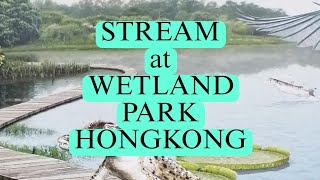 Wetland Waterfalls Hongkong Stream [upl. by Earej512]