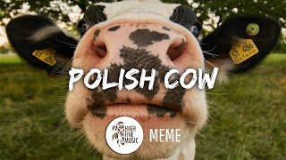 Polish Cow  Meme TraduçãoLegendado Cypis  Gdzie jest biały węgorz Música original completa [upl. by Aerdnaid694]