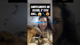 FILHOTINHO SEGUE JOVEM QUE RESOLVE ADOTAR cachorro adote resgate rescue dog pets amor ong [upl. by Eicnarf]