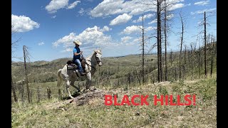 French Creek SD Horse Camp amp Trail Tour June 2022 [upl. by Blanka]