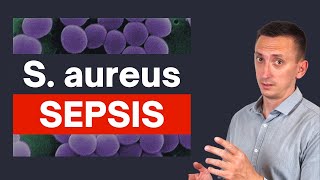 Staphylococcus aureus Sepsis Crucial Tips for Clinicians [upl. by Ayotal469]