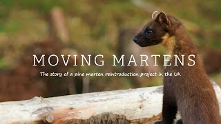 Moving Martens [upl. by Ajdan]