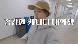 4K 🇨🇦 개강하자마자 종강한 유학생 브이로그 vlog [upl. by Auvil105]