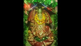 જય અંબે મા  day 8  Navratri  આઠમ  ગરબા  palsana  live  પલસાણા [upl. by Enyaz]