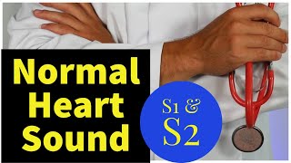 Normal S1 and S2 Heart Sounds With Explanation [upl. by Avehstab]