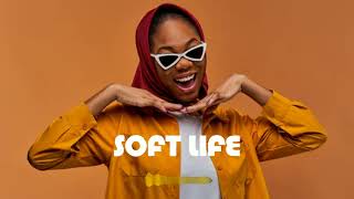 FREE Tyla Type beat  Soft Life  Amapiano Instrumental 2023 [upl. by Trauts]