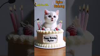 HAPPY BIRTHDAY TO YOU RYLEE  HAPPY BIRTHDAY SONG WITH NAMES  Adorable Cute Cat 😺 happybirthday [upl. by Kuebbing873]