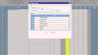 Deltek Time amp Expense Training Video Basics [upl. by Anahtor542]