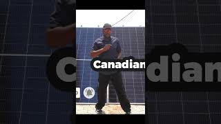 Trina Solar vs Canadian Solar in energy efficiency test [upl. by Riebling999]