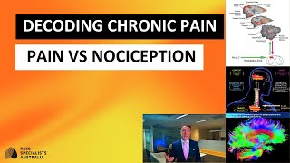 Decoding Chronic Pain Nociception vs Pain [upl. by Kathlene33]