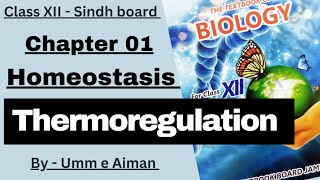 Thermoregulation  Hypothermia and Hyperthermia  Homeostasis Class XII  Sindh board  Umm e Aiman [upl. by Rovaert784]