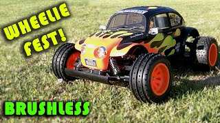 Brushless Tamiya Blitzer Beetle First Run Its A Wheelie Fest [upl. by Einnaoj]