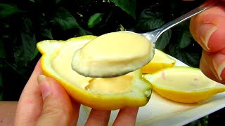 How to Make Lemon Posset 3  ingredient dessert [upl. by Aynosal]