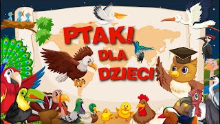 Ptaki film edukacyjny dla dzieci 🐦 [upl. by Chesnut]