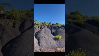 Randonnée à Tahiti🇵🇫 Plus exactement à Mitirapa La montagne ⛰️s’appelle « Faarei » 🥰 [upl. by Nowyt829]