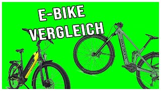 EBIKE Vergleich 🚲 Die besten Pedelecs im Test  Kaufberatung [upl. by Dnomyaw]