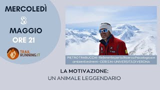 quotLa motivazionequot un animale leggendario [upl. by Gonsalve]