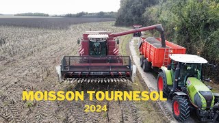 Moisson de Tournesol 2024  Charente Maritime [upl. by Nuawd]