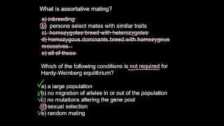 What is assortative mating [upl. by Feinberg]