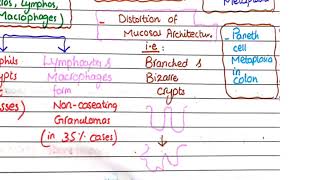 Crohns Disease  Pathology [upl. by Bamby463]