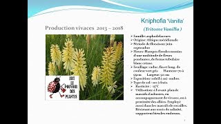 Conseil jardinage fiche technique  Kniphofia ‘Vanilla’ plante vivace [upl. by Natehc]