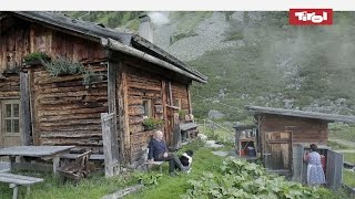 Leben auf der Alm  Almhütten in Tirol Österreich 🐮 [upl. by Gneh]