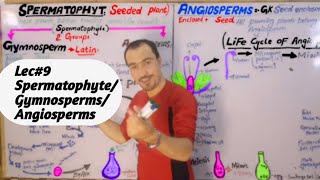 Spermatophyte plants and its groups Gymnosperms Angiosperms amp its cycle detail lecture in Hindi [upl. by Naryt883]