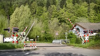 Spoorwegovergang Bad Liebenzell D  Railroad crossing  Bahnübergang [upl. by Iveel]