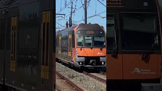 Waratah B10 Arriving At Marrickville transportnsw nswtrains publictransport sydneytrains rails [upl. by Kcirnek]