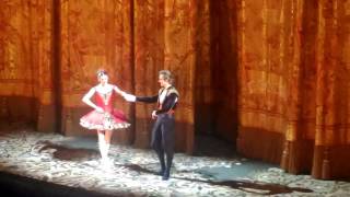 Svetlana Zakharova amp Denis Rodkin quotDon Quixotequot 22042017 Curtain call [upl. by Eaver]