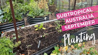 What were planting in Subtropical Australia this September [upl. by Esra]