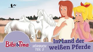 Bibi amp Tina  Im Land der weißen Pferde  1 Stunde Entspannung Teil 2 [upl. by Nonna]