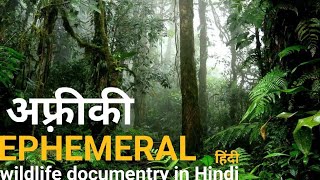 Ephemeral jungle  हिंदी डॉक्यूमेंट्री  Africa wildlife documentry in Hindi [upl. by Hiltan139]