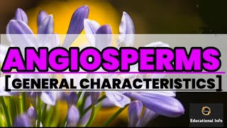 Angiosperms  General character  Biology  Educational info [upl. by Yaffit]