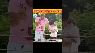 Hippo ki dangerous poop 💩 😱 [upl. by Zared513]