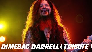 DIMEBAG DARRELL  TRIBUTE [upl. by Randal]