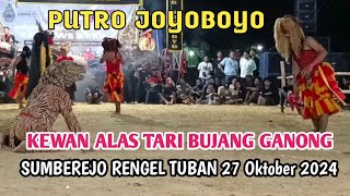 KEWAN ALAS vs TARI BUJANG GANONG JARANAN PUTRO JOYOBOYO RENGEL TUBAN 27 OKTOBER 2024 [upl. by Ermentrude]