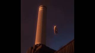 Pink Floyd  Animals Animations  Blender [upl. by Bortz849]