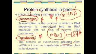 protein synthesis inhibitors part 1 2024 [upl. by Draneb]