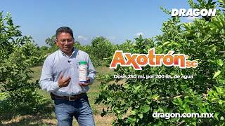 Axotrón SC  Antracnosis en Cultivo de Limón  DRAGON [upl. by Billen]