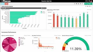 Phocas 4minute miracle UKEurope  business intelligence video [upl. by Laeira898]