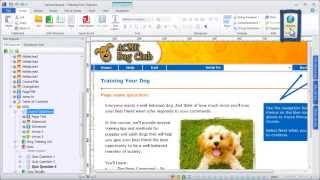 Publishing to ReviewLink with Lectora V11 eLearning Software [upl. by Ahsiliw]