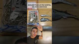 Un pez mortal en unas anchoascuriosidades supervivencia sabiasque [upl. by Latouche]