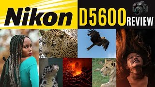 NIKON D5600 REVIEW  WILDLIFE amp PORTRAIT PHOTOGRAPHY WITH SAMPLE IMAGES [upl. by Nove]